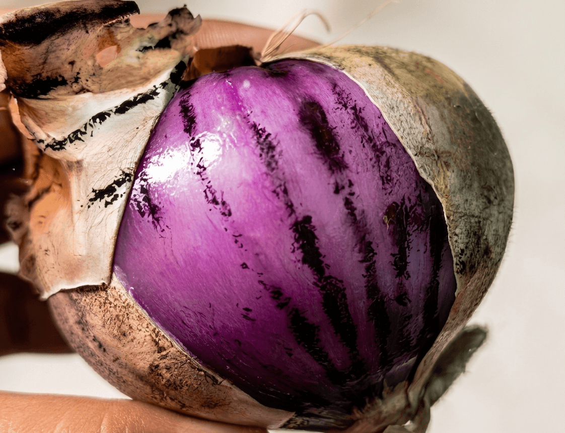 Black mould fungus on onions poses severe health risk on the kidney and liver